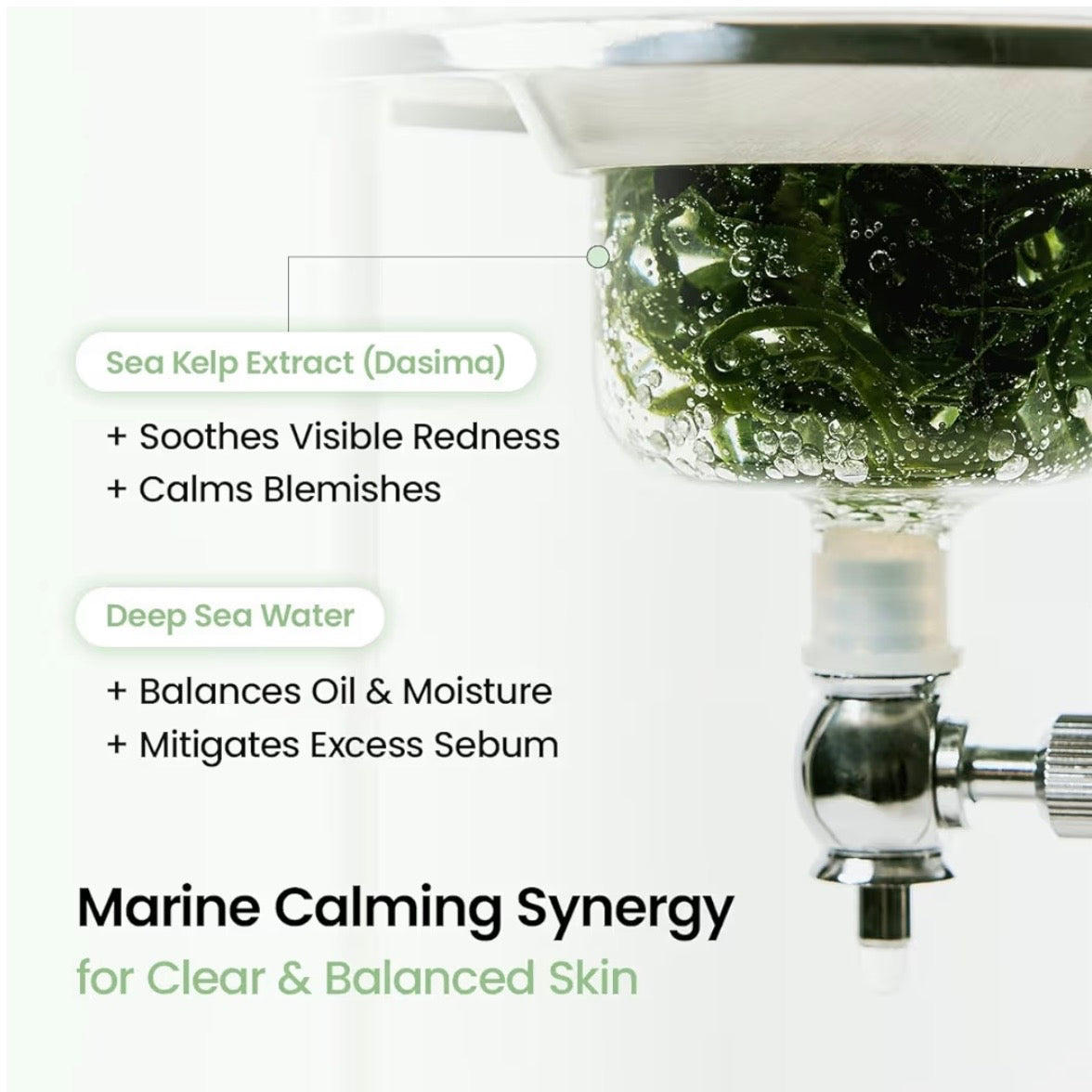 Biodance Refreshing Sea Kelp Real Deep Mask - 01 Sheet Masks